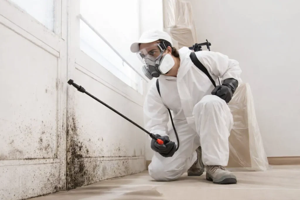 Mold Removal fort Myers. Professional mold remediation technician removing mold from a residential wall in Fort Myers, Florida.