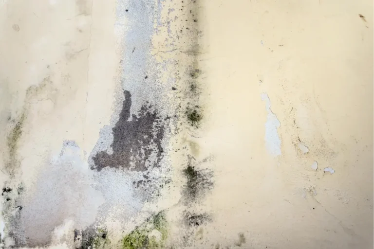 How to Know if There is Mold in Your Walls 3 Mold stains and discoloration on an interior wall caused by trapped moisture