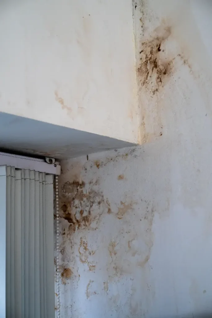 Water stains and mold growth on a wall corner near a window frame